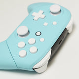 Custom Sea Salt Pastel Blue and White Nintendo Switch Pro Controller